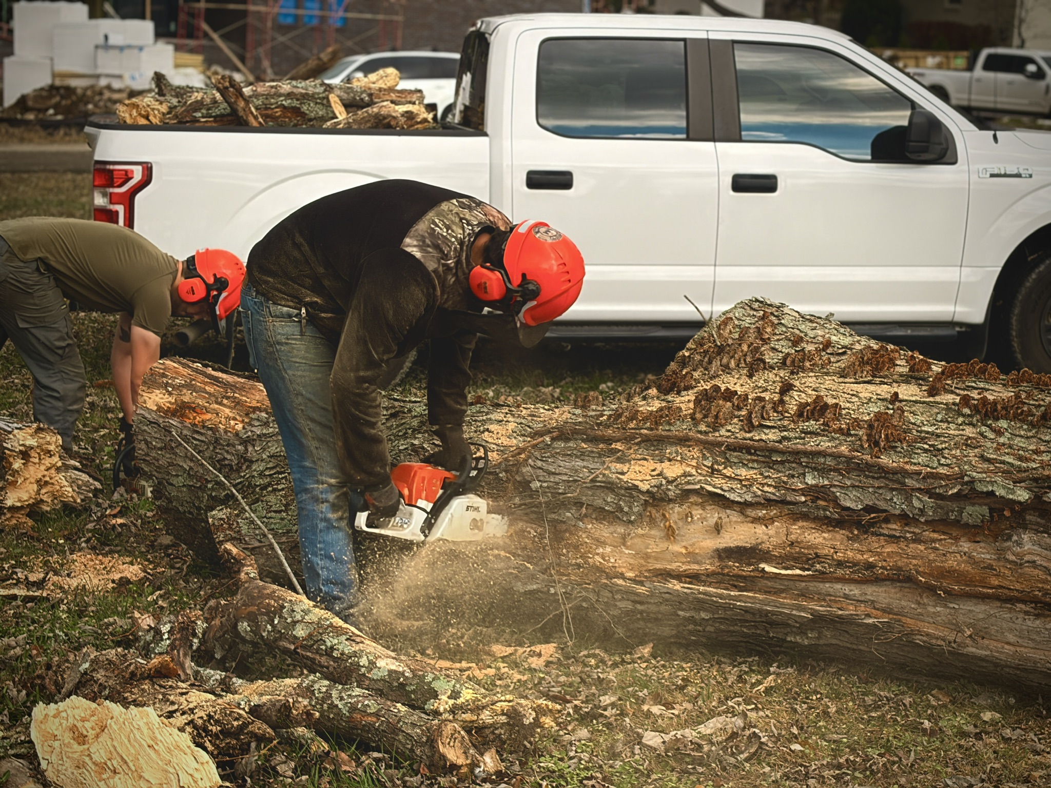 Expert tree cutting services in Middle Tennessee